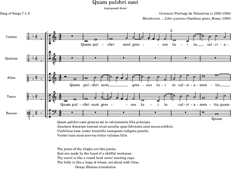 preview of first system of score